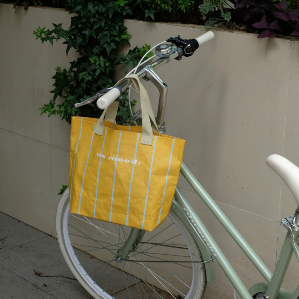 Holiday Striped Woven Lunch Tote Bag - White