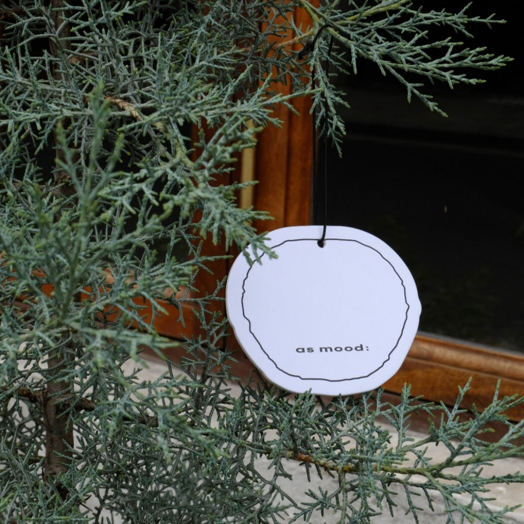 Minimalist Fruit Hanging Air Freshener